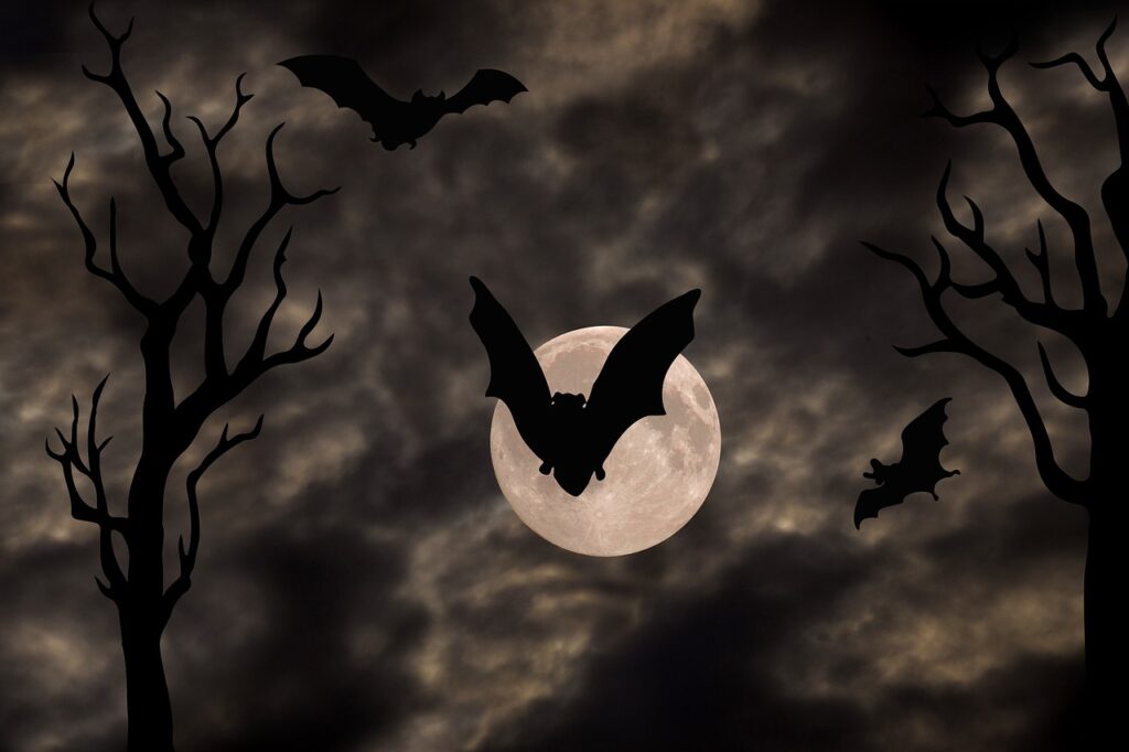halloween, gloomy, full moon-1001676.jpg